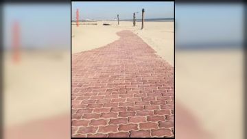 沙滩美人鱼勾引路人：哥哥，你活好不好呀，冷死我啦，逼逼好痒。 男：啊啊啊快射了，射里面吗···太刺激了