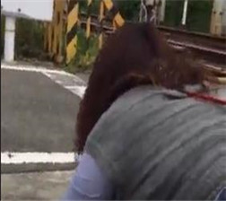 火车轨道旁边直接开炮 mp4