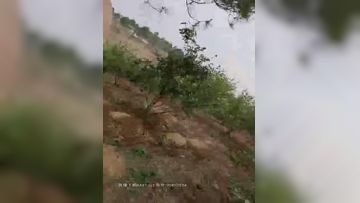 【金牌小可】小哥户外小树林激情啪啪，树上后入骑乘大力勐操非常诱人，很是诱惑喜欢不要错过