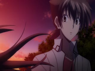 LDM005-024 恶魔高校D×D 第二季 10